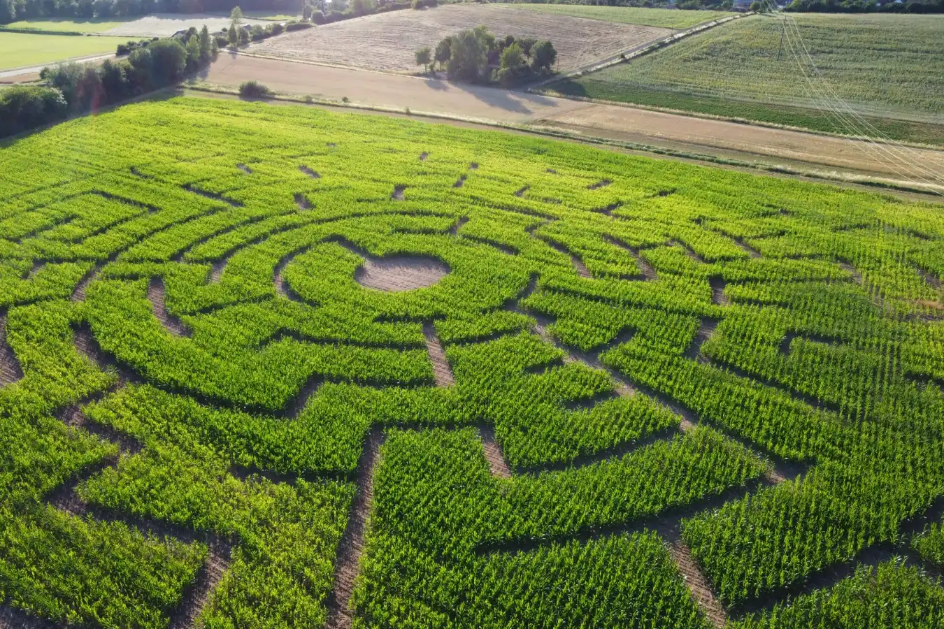 Maislabyrinth